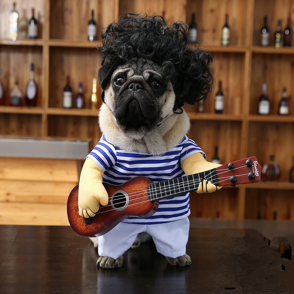 Rockstar Pet Outfit