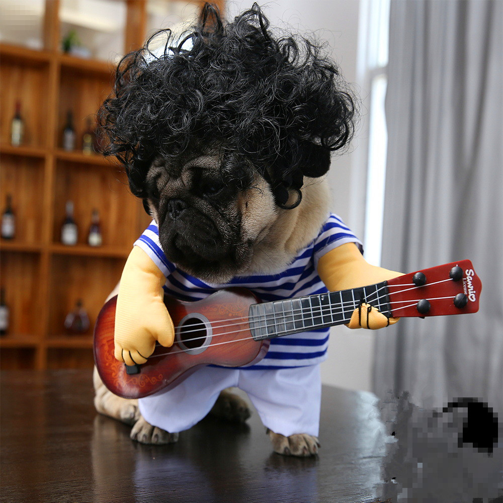 Rockstar Pet Outfit