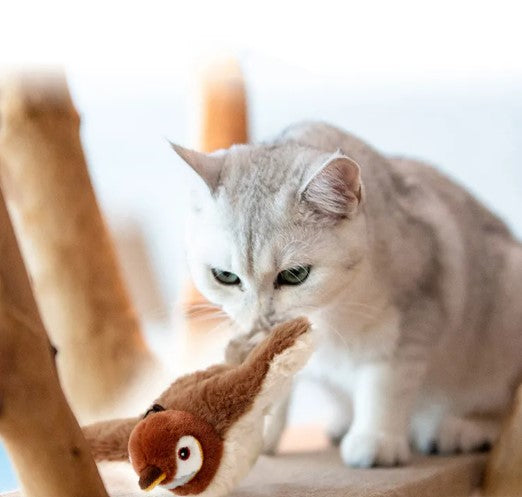 Sound & Motion Pet Pal