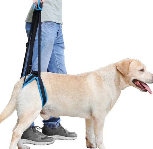 Dog Mobility Harness
