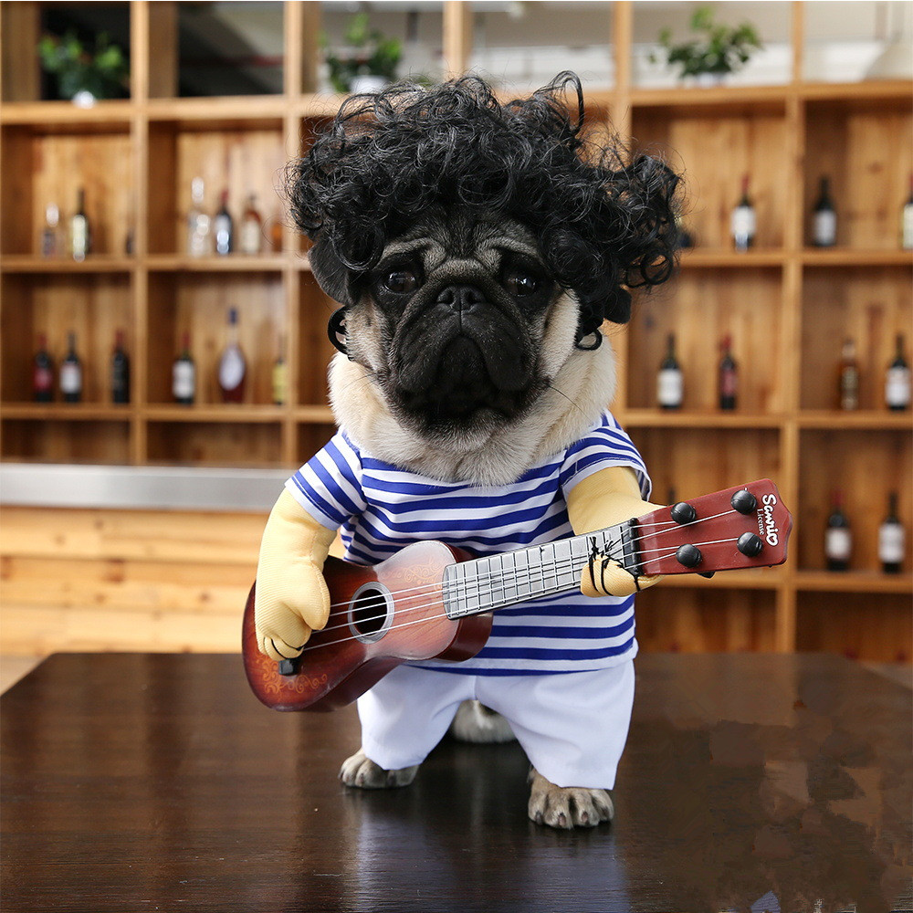 Rockstar Pet Outfit