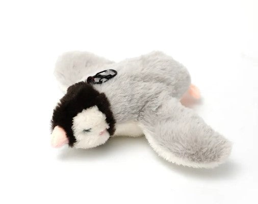Sound & Motion Pet Pal